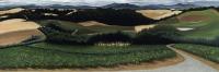 The Vineyard at Willamette Valley