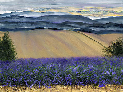 Havenhill Lavender Farm