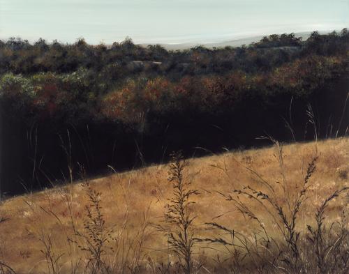 Upper Field In Autumn