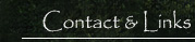Contact & Links